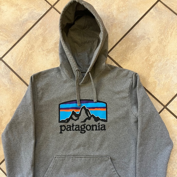 Classic Patagonia Hoodie – Grey with Front Logo, Size Small - Picture 1 of 7